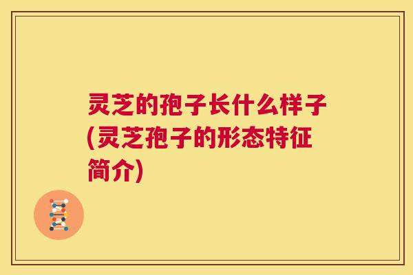 灵芝的孢子长什么样子(灵芝孢子的形态特征简介) 第1张 灵芝的孢子长什么样子(灵芝孢子的形态特征简介) 第1张
