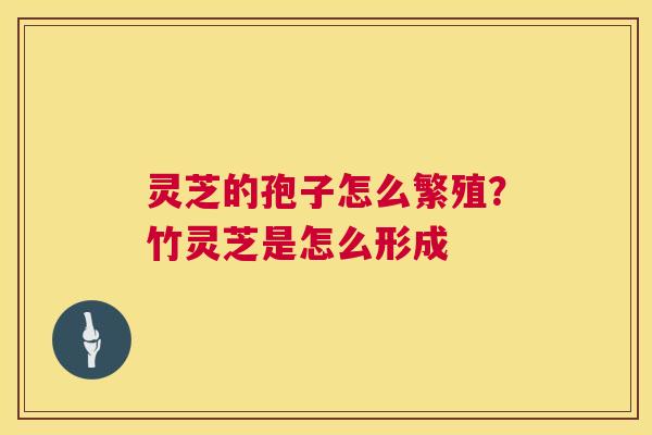 灵芝的孢子怎么繁殖？竹灵芝是怎么形成  第1张