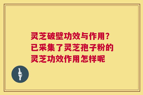 灵芝破壁功效与作用?已采集了灵芝孢子粉的灵芝功效作用怎样呢 第1张 灵芝破壁功效与作用?已采集了灵芝孢子粉的灵芝功效作用怎样呢 第1张