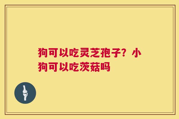 狗可以吃灵芝孢子?小狗可以吃茨菇吗 第1张 狗可以吃灵芝孢子?小狗可以吃茨菇吗 第1张