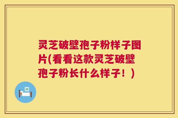 灵芝破壁孢子粉样子图片(看看这款灵芝破壁孢子粉长什么样子!) 第1张 灵芝破壁孢子粉样子图片(看看这款灵芝破壁孢子粉长什么样子!) 第1张