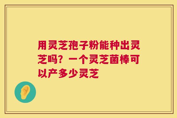 用灵芝孢子粉能种出灵芝吗？一个灵芝菌棒可以产多少灵芝  第1张