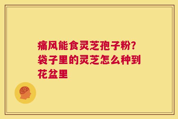 痛风能食灵芝孢子粉？袋子里的灵芝怎么种到花盆里  第1张