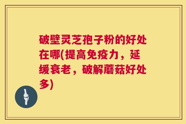 破壁灵芝孢子粉的好处在哪(提高免疫力,延缓衰老,破解蘑菇好处多) 第1张 破壁灵芝孢子粉的好处在哪(提高免疫力,延缓衰老,破解蘑菇好处多) 第1张