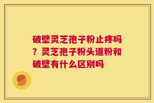 破壁灵芝孢子粉止疼吗?灵芝孢子粉头道粉和破壁有什么区别吗 第1张 破壁灵芝孢子粉止疼吗?灵芝孢子粉头道粉和破壁有什么区别吗 第1张