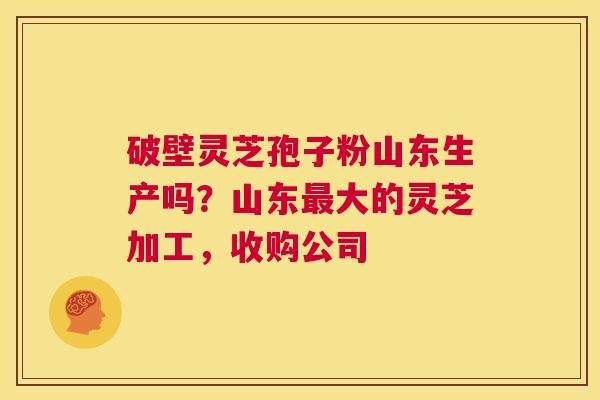 破壁灵芝孢子粉山东生产吗?山东最大的灵芝加工,收购公司 第1张 破壁灵芝孢子粉山东生产吗?山东最大的灵芝加工,收购公司 第1张