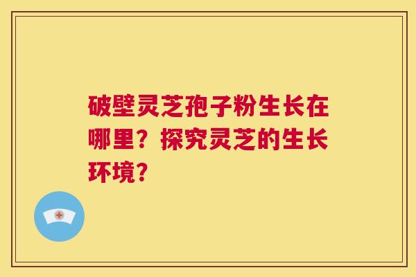 破壁灵芝孢子粉生长在哪里?探究灵芝的生长环境? 第1张 破壁灵芝孢子粉生长在哪里?探究灵芝的生长环境? 第1张