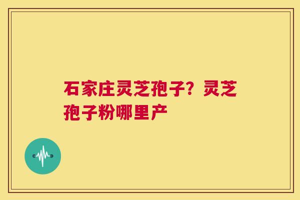 石家庄灵芝孢子?灵芝孢子粉哪里产 第1张 石家庄灵芝孢子?灵芝孢子粉哪里产 第1张