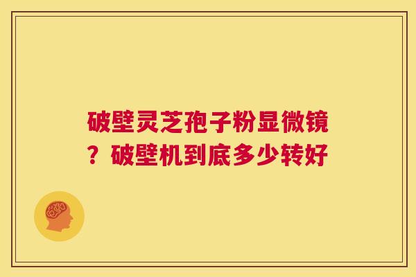 破壁灵芝孢子粉显微镜?破壁机到底多少转好 第1张 破壁灵芝孢子粉显微镜?破壁机到底多少转好 第1张