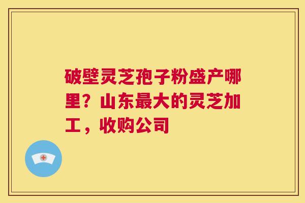 破壁灵芝孢子粉盛产哪里?山东最大的灵芝加工,收购公司 第1张 破壁灵芝孢子粉盛产哪里?山东最大的灵芝加工,收购公司 第1张