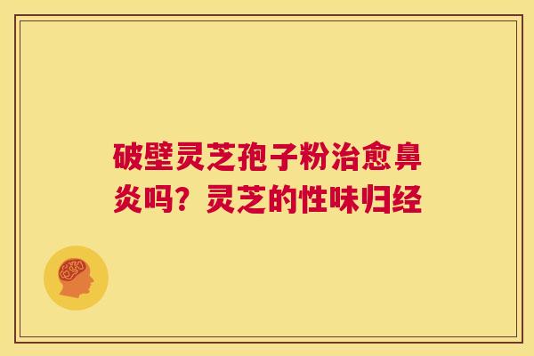 破壁灵芝孢子粉治愈鼻炎吗?灵芝的性味归经 第1张 破壁灵芝孢子粉治愈鼻炎吗?灵芝的性味归经 第1张