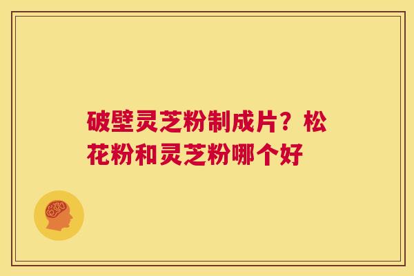 破壁灵芝粉制成片?松花粉和灵芝粉哪个好 第1张 破壁灵芝粉制成片?松花粉和灵芝粉哪个好 第1张