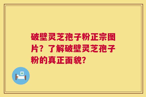 破壁灵芝孢子粉正宗图片？了解破壁灵芝孢子粉的真正面貌？  第1张
