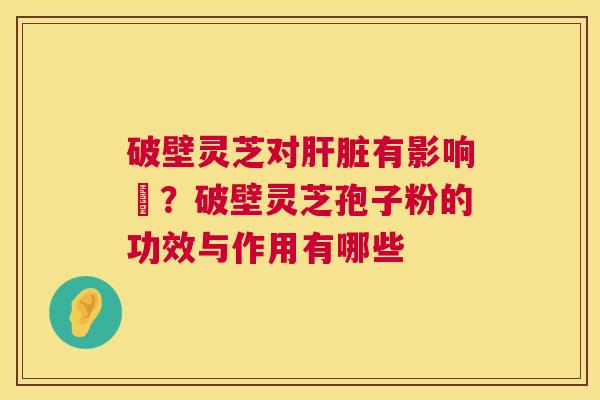 破壁灵芝对肝脏有影响嗎？破壁灵芝孢子粉的功效与作用有哪些  第1张