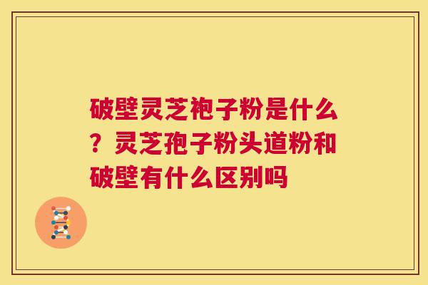 破壁灵芝袍子粉是什么?灵芝孢子粉头道粉和破壁有什么区别吗 第1张 破壁灵芝袍子粉是什么?灵芝孢子粉头道粉和破壁有什么区别吗 第1张