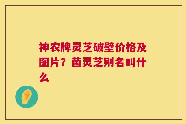 神农牌灵芝破壁价格及图片?菌灵芝别名叫什么 第1张 神农牌灵芝破壁价格及图片?菌灵芝别名叫什么 第1张