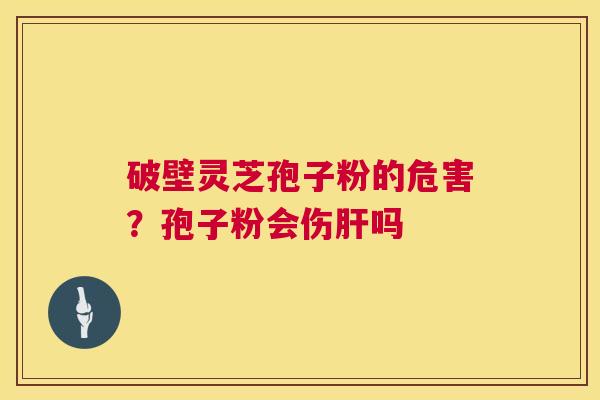 破壁灵芝孢子粉的危害?孢子粉会伤肝吗 第1张 破壁灵芝孢子粉的危害?孢子粉会伤肝吗 第1张