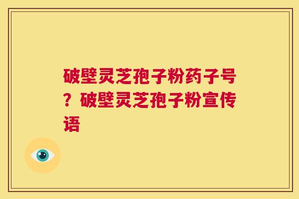 破壁灵芝孢子粉药子号?破壁灵芝孢子粉宣传语 第1张 破壁灵芝孢子粉药子号?破壁灵芝孢子粉宣传语 第1张