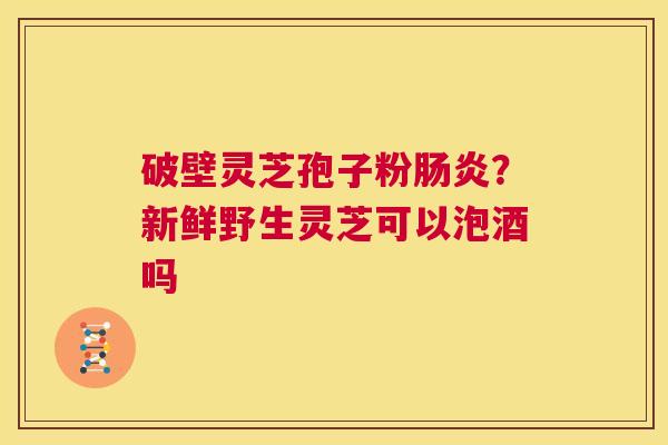 破壁灵芝孢子粉肠炎?新鲜野生灵芝可以泡酒吗 第1张 破壁灵芝孢子粉肠炎?新鲜野生灵芝可以泡酒吗 第1张
