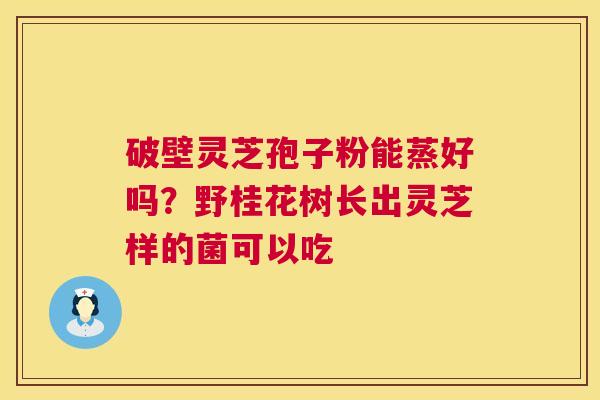 破壁灵芝孢子粉能蒸好吗?野桂花树长出灵芝样的菌可以吃 第1张 破壁灵芝孢子粉能蒸好吗?野桂花树长出灵芝样的菌可以吃 第1张