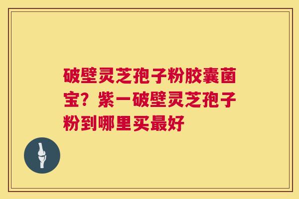 破壁灵芝孢子粉胶囊菌宝?紫一破壁灵芝孢子粉到哪里买最好 第1张 破壁灵芝孢子粉胶囊菌宝?紫一破壁灵芝孢子粉到哪里买最好 第1张