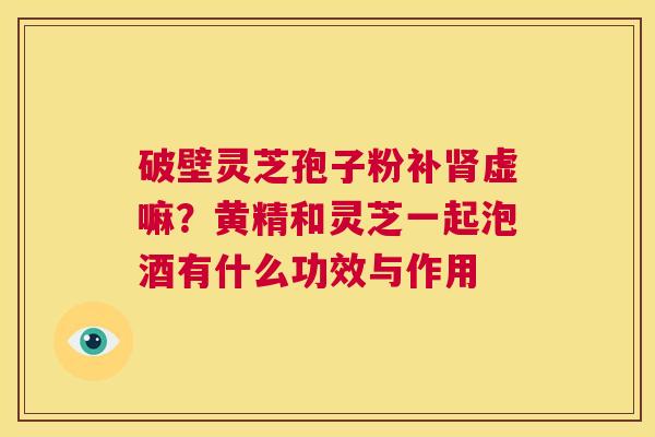破壁灵芝孢子粉补肾虚嘛?黄精和灵芝一起泡酒有什么功效与作用 第1张 破壁灵芝孢子粉补肾虚嘛?黄精和灵芝一起泡酒有什么功效与作用 第1张