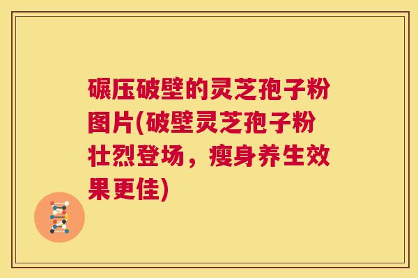 碾压破壁的灵芝孢子粉图片(破壁灵芝孢子粉壮烈登场，瘦身养生效果更佳)  第1张