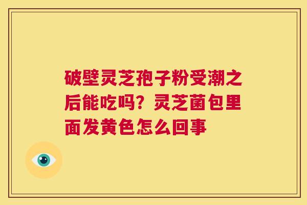 破壁灵芝孢子粉受潮之后能吃吗?灵芝菌包里面发黄色怎么回事 第1张 破壁灵芝孢子粉受潮之后能吃吗?灵芝菌包里面发黄色怎么回事 第1张