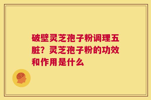 破壁灵芝孢子粉调理五脏?灵芝孢子粉的功效和作用是什么 第1张 破壁灵芝孢子粉调理五脏?灵芝孢子粉的功效和作用是什么 第1张