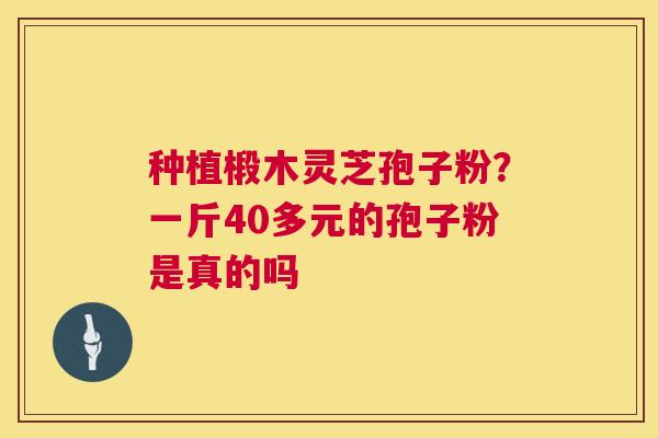 种植椴木灵芝孢子粉?一斤40多元的孢子粉是真的吗 第1张 种植椴木灵芝孢子粉?一斤40多元的孢子粉是真的吗 第1张