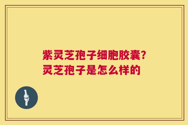 紫灵芝孢子细胞胶囊?灵芝孢子是怎么样的 第1张 紫灵芝孢子细胞胶囊?灵芝孢子是怎么样的 第1张