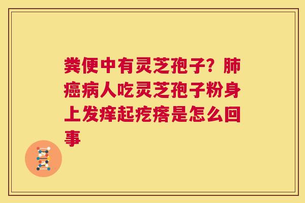 粪便中有灵芝孢子?肺癌病人吃灵芝孢子粉身上发痒起疙瘩是怎么回事 第1张 粪便中有灵芝孢子?肺癌病人吃灵芝孢子粉身上发痒起疙瘩是怎么回事 第1张