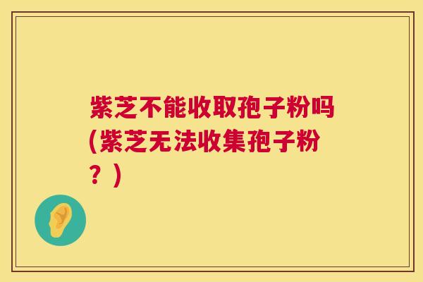 紫芝不能收取孢子粉吗(紫芝无法收集孢子粉?) 第1张 紫芝不能收取孢子粉吗(紫芝无法收集孢子粉?) 第1张