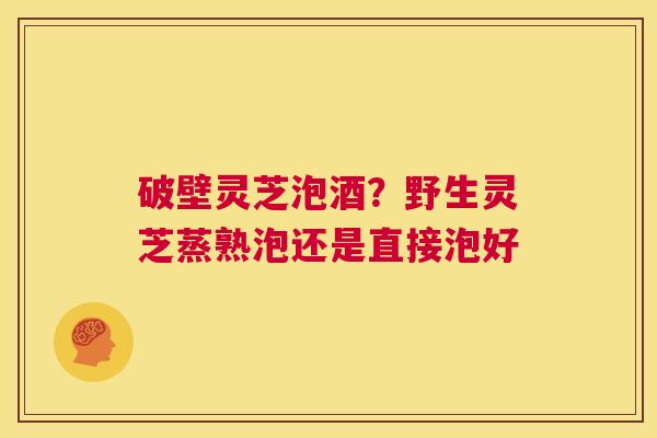 破壁灵芝泡酒?野生灵芝蒸熟泡还是直接泡好 第1张 破壁灵芝泡酒?野生灵芝蒸熟泡还是直接泡好 第1张