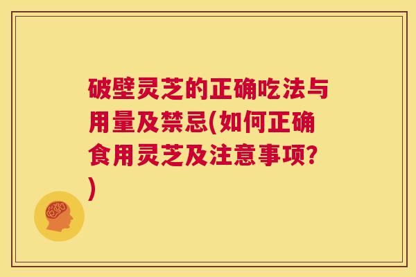 破壁灵芝的正确吃法与用量及禁忌(如何正确食用灵芝及注意事项?) 第1张 破壁灵芝的正确吃法与用量及禁忌(如何正确食用灵芝及注意事项?) 第1张