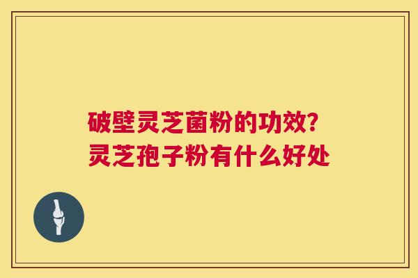 破壁灵芝菌粉的功效?灵芝孢子粉有什么好处 第1张 破壁灵芝菌粉的功效?灵芝孢子粉有什么好处 第1张
