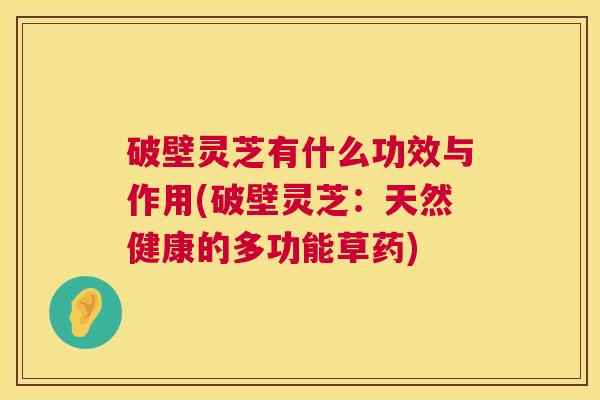 破壁灵芝有什么功效与作用(破壁灵芝:天然健康的多功能草药) 第1张 破壁灵芝有什么功效与作用(破壁灵芝:天然健康的多功能草药) 第1张