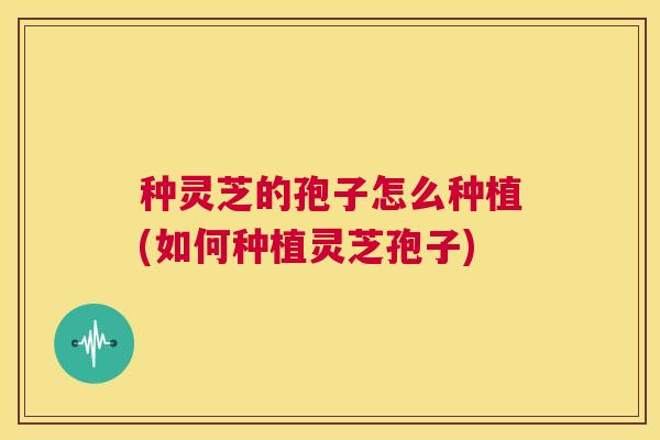 种灵芝的孢子怎么种植(如何种植灵芝孢子) 第1张 种灵芝的孢子怎么种植(如何种植灵芝孢子) 第1张