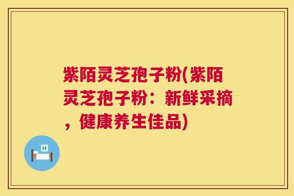 紫陌灵芝孢子粉(紫陌灵芝孢子粉：新鲜采摘，健康养生佳品)  第1张
