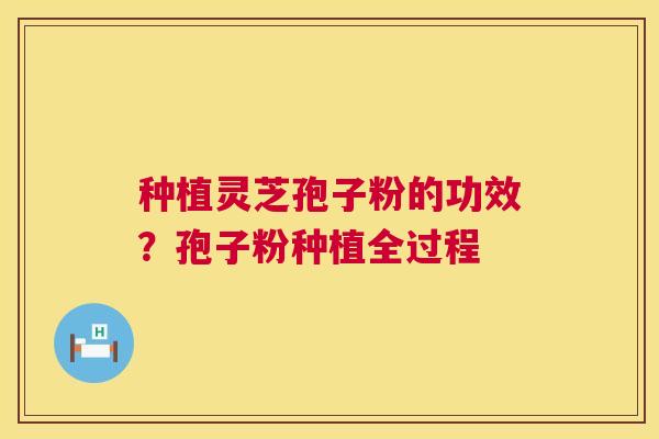 种植灵芝孢子粉的功效?孢子粉种植全过程 第1张 种植灵芝孢子粉的功效?孢子粉种植全过程 第1张
