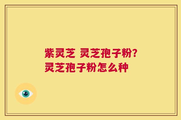 紫灵芝 灵芝孢子粉?灵芝孢子粉怎么种 第1张 紫灵芝 灵芝孢子粉?灵芝孢子粉怎么种 第1张