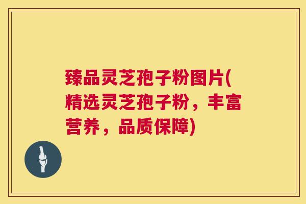 臻品灵芝孢子粉图片(精选灵芝孢子粉,丰富营养,品质保障) 第1张 臻品灵芝孢子粉图片(精选灵芝孢子粉,丰富营养,品质保障) 第1张