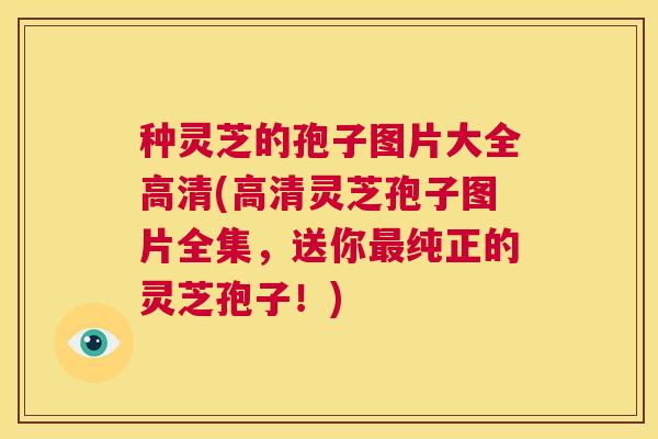 种灵芝的孢子图片大全高清(高清灵芝孢子图片全集,送你最纯正的灵芝孢子!) 第1张 种灵芝的孢子图片大全高清(高清灵芝孢子图片全集,送你最纯正的灵芝孢子!) 第1张