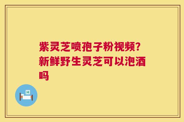 紫灵芝喷孢子粉视频?新鲜野生灵芝可以泡酒吗 第1张 紫灵芝喷孢子粉视频?新鲜野生灵芝可以泡酒吗 第1张