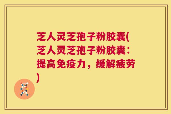 芝人灵芝孢子粉胶囊(芝人灵芝孢子粉胶囊：提高免疫力，缓解疲劳)  第1张