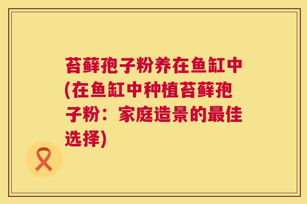 苔藓孢子粉养在鱼缸中(在鱼缸中种植苔藓孢子粉：家庭造景的最佳选择)  第1张