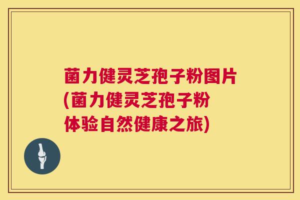 菌力健灵芝孢子粉图片(菌力健灵芝孢子粉 体验自然健康之旅) 第1张 菌力健灵芝孢子粉图片(菌力健灵芝孢子粉 体验自然健康之旅) 第1张