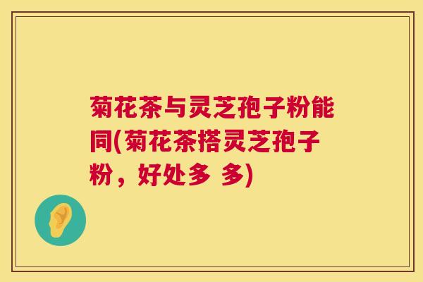 菊花茶与灵芝孢子粉能同(菊花茶搭灵芝孢子粉，好处多 多)  第1张
