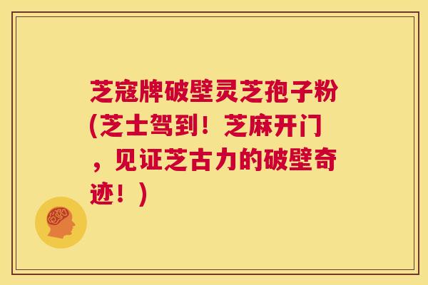 芝寇牌破壁灵芝孢子粉(芝士驾到!芝麻开门,见证芝古力的破壁奇迹!) 第1张 芝寇牌破壁灵芝孢子粉(芝士驾到!芝麻开门,见证芝古力的破壁奇迹!) 第1张