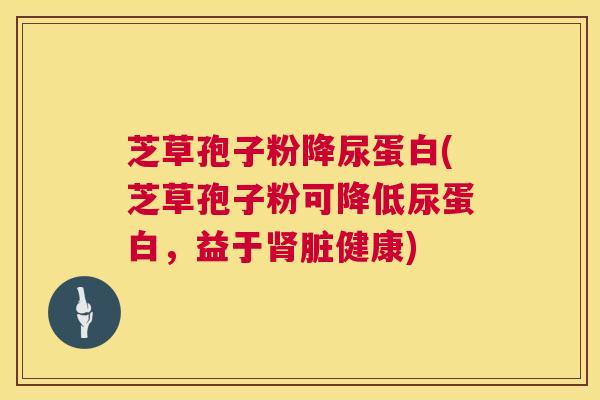 芝草孢子粉降尿蛋白(芝草孢子粉可降低尿蛋白，益于肾脏健康)  第1张
